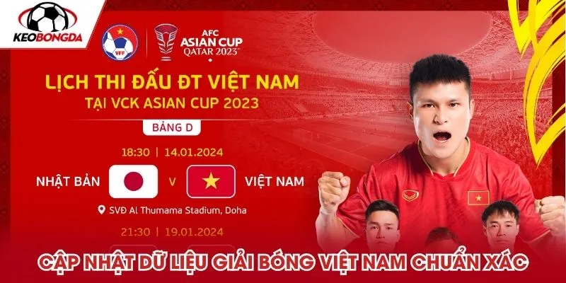 Cập nhật dữ liệu giải bóng Việt Nam chuẩn xác