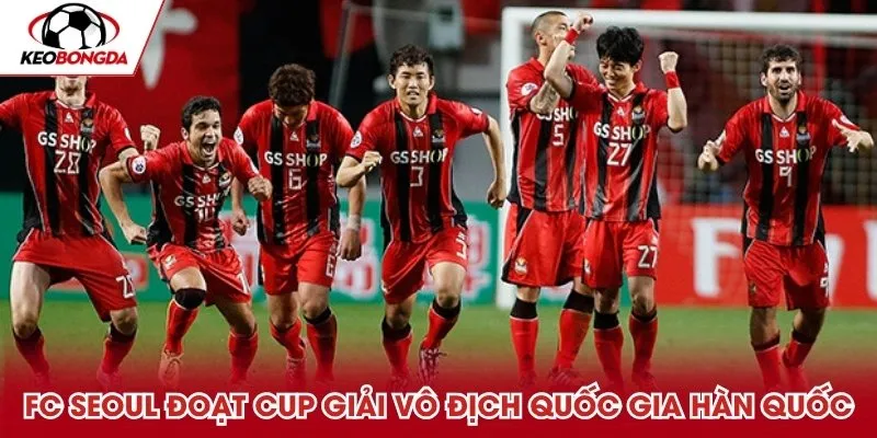 FC Seoul đoạt cup tại giải Vô địch Quốc gia Hàn Quốc
