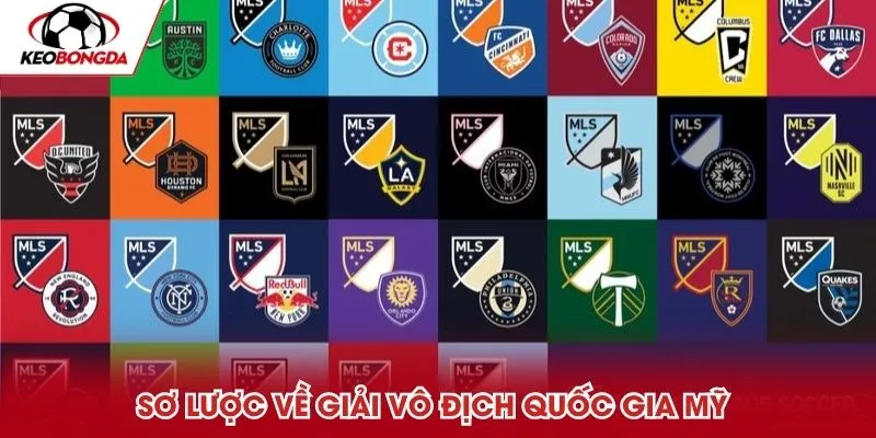 Sơ lược về giải vô địch quốc gia Mỹ