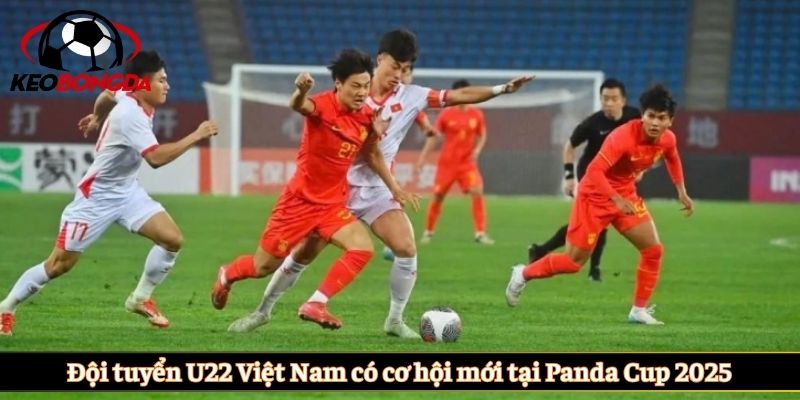 Đội tuyển U22 Việt Nam có cơ hội mới tại Panda Cup 2025